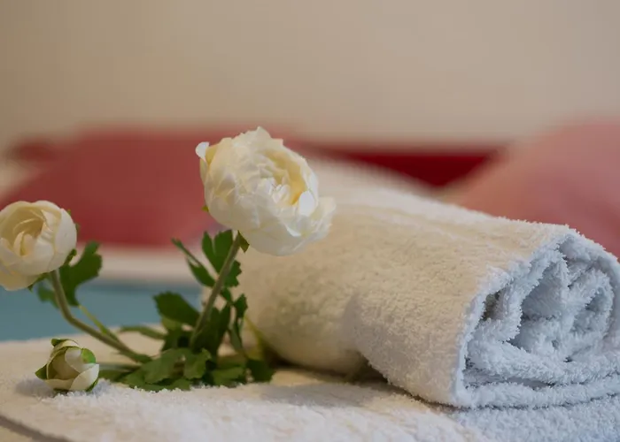 Casa Franciska Řím